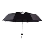 parapluie rigolo 2