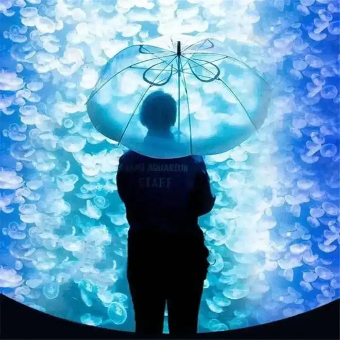 Parapluie méduse 2