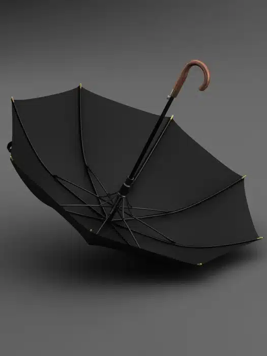 Grand parapluie bois 2