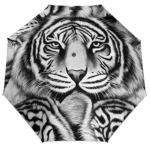 Parapluie tigre 1