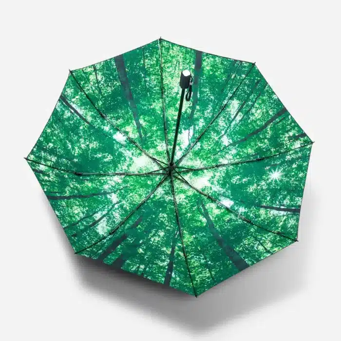 parapluie foret 2