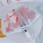 Parapluie transparent chat 3
