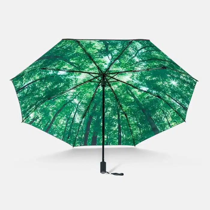 parapluie foret 3