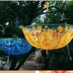 Ha1733d9e04c5498ea1a241b2b60c6c9_cleanup Cropped