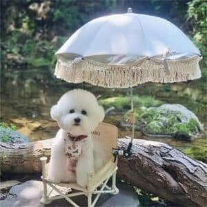 Porte parapluie poussette