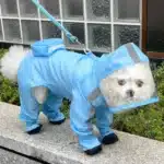 Manteau imperméable pour chien, combinaison à capuche, veste imperméable avec bottes, manteau de pluie réfléchissant pour l'extérieur, vêtements résistants à l'eau pour chiens 2