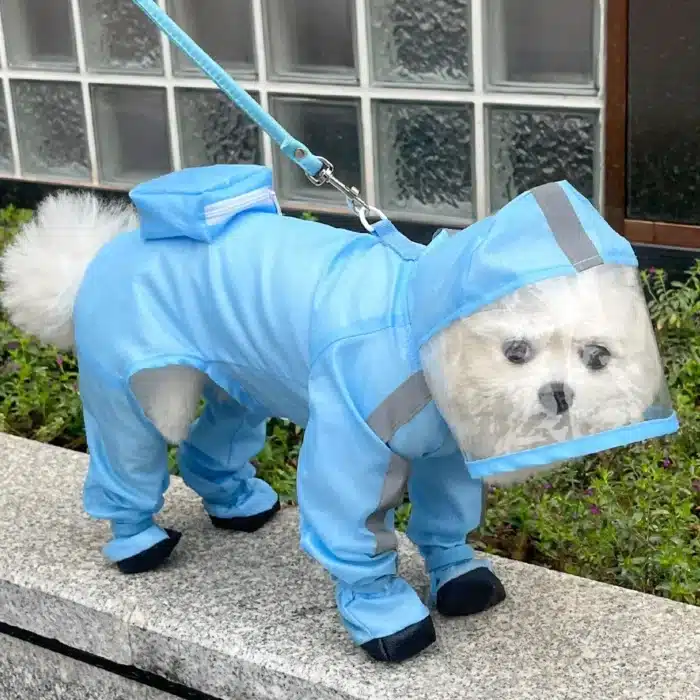 Manteau imperméable pour chien, combinaison à capuche, veste imperméable avec bottes, manteau de pluie réfléchissant pour l'extérieur, vêtements résistants à l'eau pour chiens 2