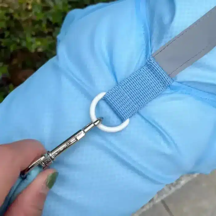 Manteau imperméable pour chien, combinaison à capuche, veste imperméable avec bottes, manteau de pluie réfléchissant pour l'extérieur, vêtements résistants à l'eau pour chiens 5