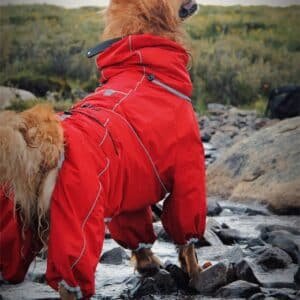 Manteau pour chien pluie