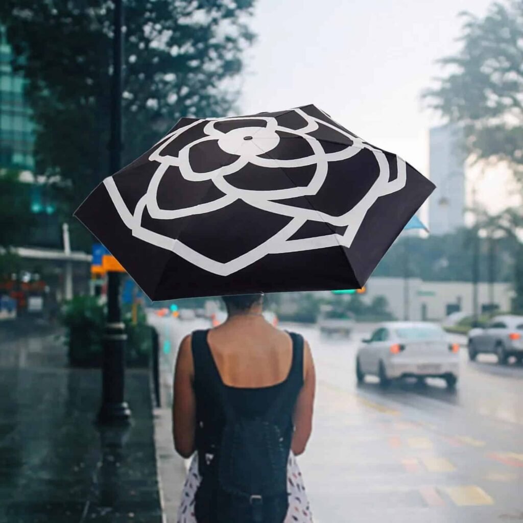 Parapluie resistant au vent. Nos 3 modèles à découvrir.